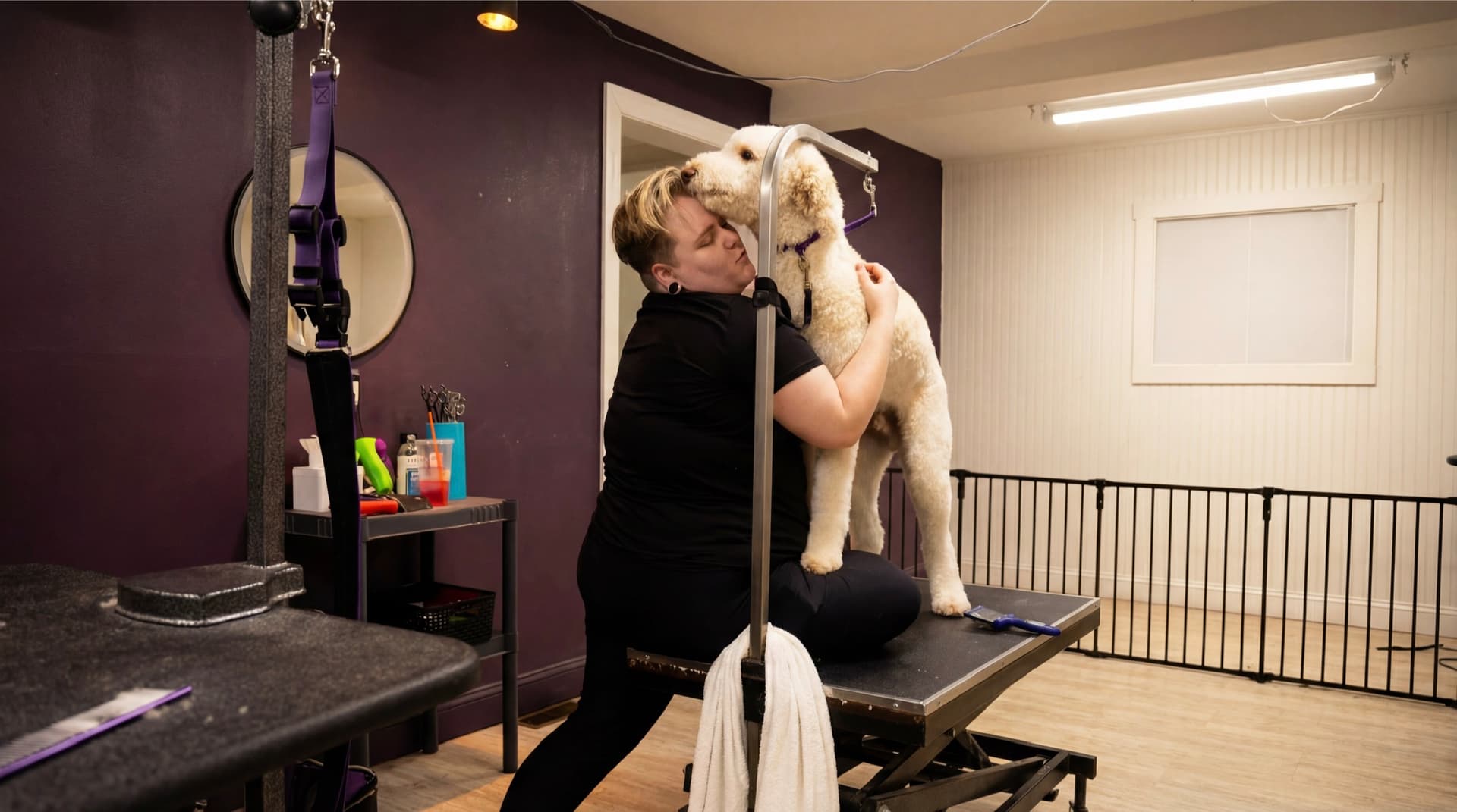 Dog being groomed at Lavish Dog Standish